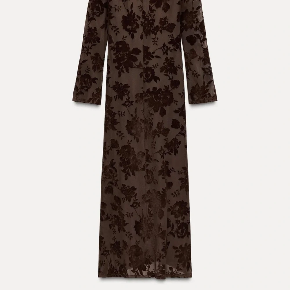 Zara LONG TULLE FLOCKED DRESS_7